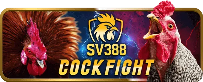 Đá gà vnjun88 link mới